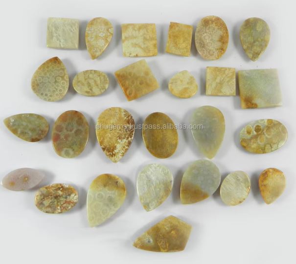Natural Fossil Coral 26 Pcs 100 Gms Freeform Cabochon Wholesale Lot Loose Gemstone for Jewelry Making