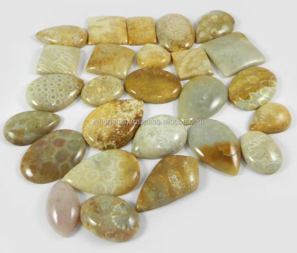 Natural Fossil Coral 26 Pcs 100 Gms Freeform Cabochon Wholesale Lot Loose Gemstone for Jewelry Making