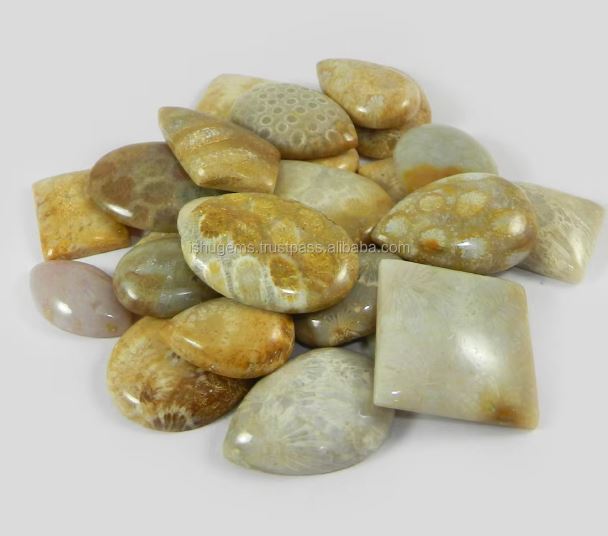Natural Fossil Coral 26 Pcs 100 Gms Freeform Cabochon Wholesale Lot Loose Gemstone for Jewelry Making