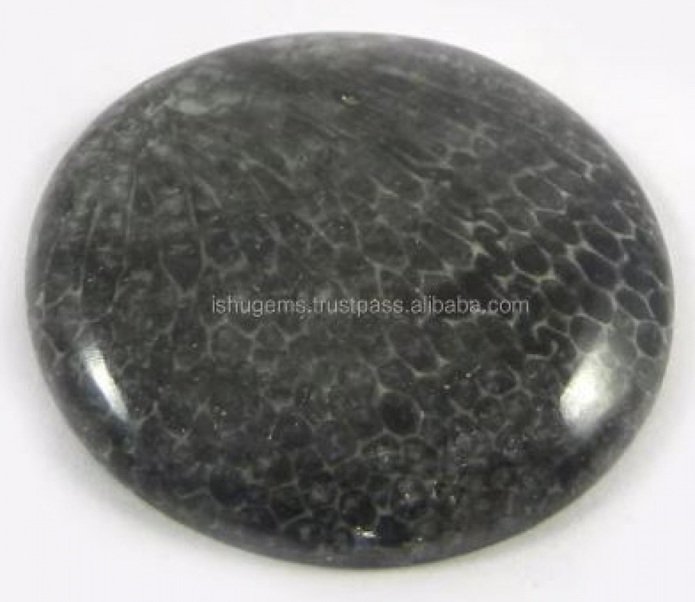 Image of 4.63 gms Natural Black Coral Cabochon Round 26mm Gemstone