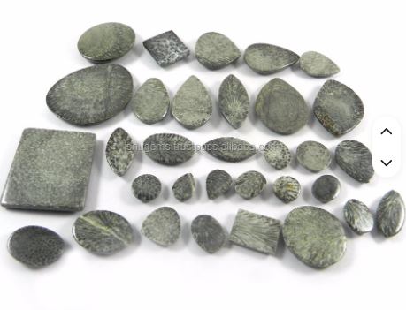 Natural Black Coral 32 Pcs Free Form 100 Gms Cabochon Gemstone