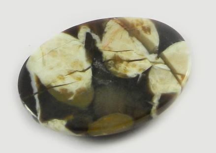 Natural Peanut Jasper 331 gms Oval 18x24mm Cabochon Loose Gemstone