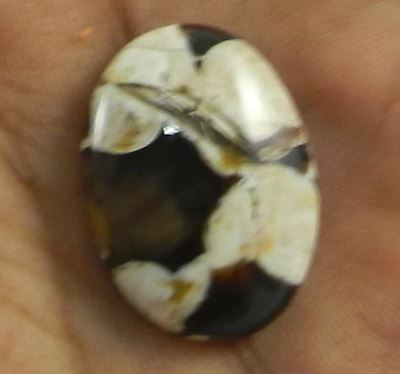 Natural Peanut Jasper 331 gms Oval 18x24mm Cabochon Loose Gemstone