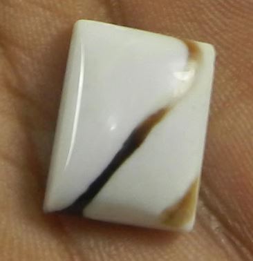 Rectangle Peanut Jasper 16x12mm Rectangle Cabochon 331 gms Loose Gemstone