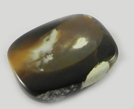 Natural Peanut Jasper 12x16mm Long Cushion 2 Gms Wholesale Cabochon Loose Gemstone IG0608