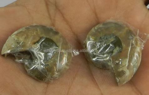 Natural Ammonite 27x23mm 1 Pair Freeform 1480 Gms Loose Gemstone For Jewelry Making