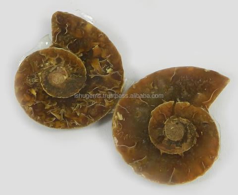 1 Pair Natural Ammonite 985 Gms 34x28mm Loose Gemstone For Jewelry Making