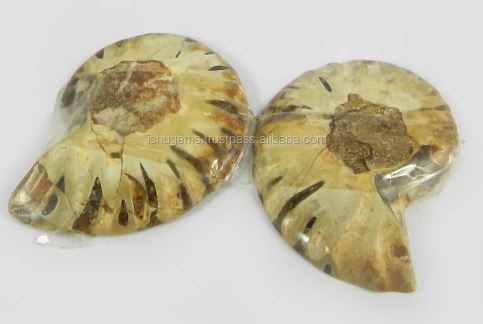 1 Pair Natural Ammonite 985 Gms 34x28mm Loose Gemstone For Jewelry Making