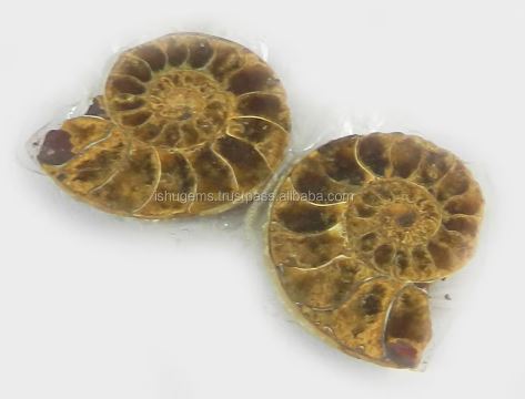 Hot Sale Natural Ammonite 380 Gms 1 Pair 21x20mm Loose Gemstone For Jewelry Making