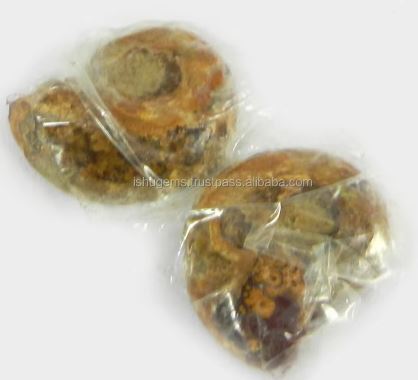 Hot Sale Natural Ammonite 380 Gms 1 Pair 21x20mm Loose Gemstone For Jewelry Making