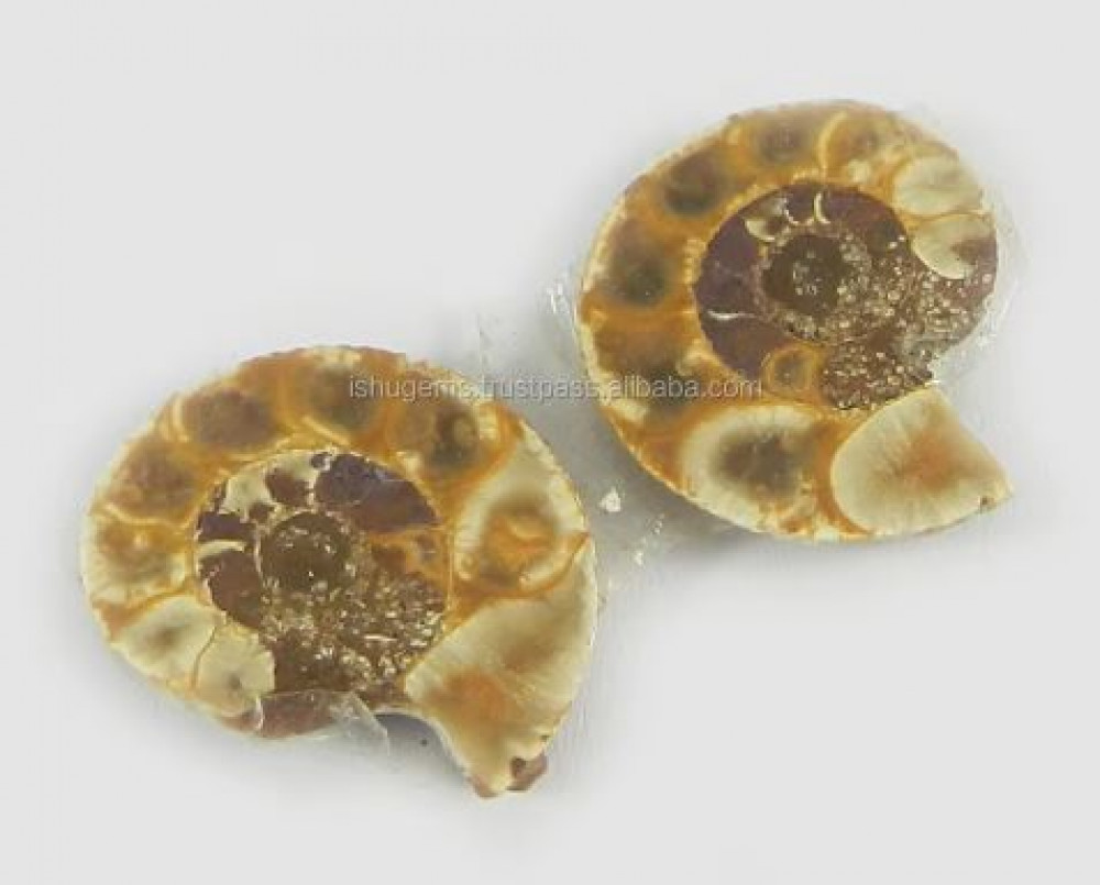 Image of Natural Ammonite 20x17mm Freeform 3.60 Gms 1 Pair Loose Gemstone For Jewelry Making