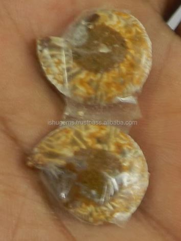 Natural Ammonite 20x17mm Freeform 360 Gms 1 Pair Loose Gemstone For Jewelry Making