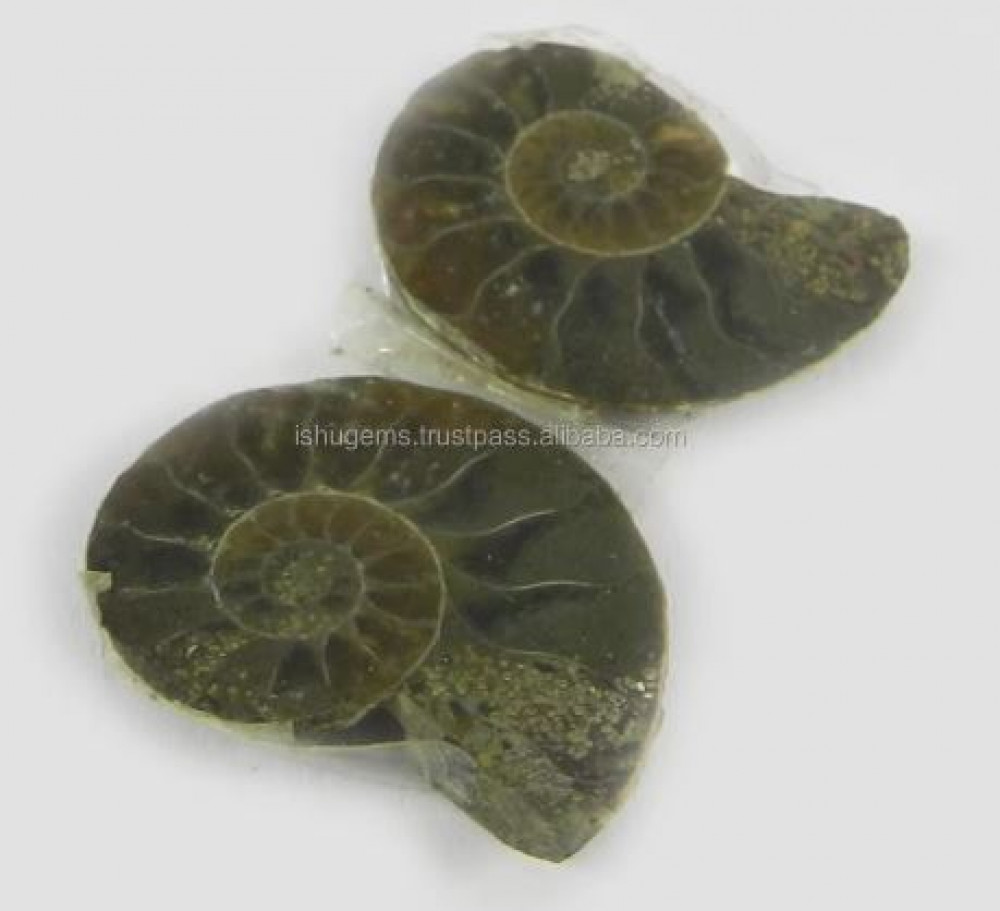 Image of Natural Ammonite 23x17mm 1 Pair Freeform 5 Gms Loose Gemstone For Jewelry Making