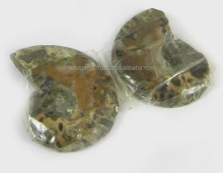 Natural Ammonite 23x17mm 1 Pair Freeform 5 Gms Loose Gemstone For Jewelry Making