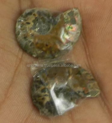 Natural Ammonite 23x17mm 1 Pair Freeform 5 Gms Loose Gemstone For Jewelry Making