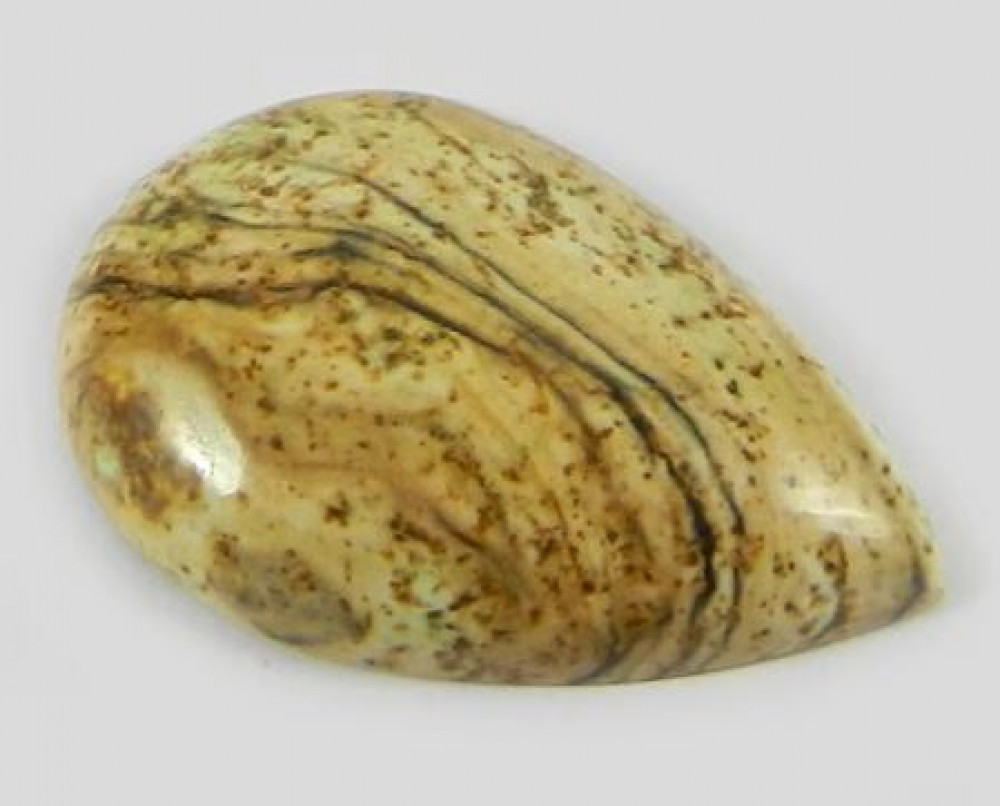 Image of 3.30 gms Picture jasper 17x26mm Pear Cabochon Loose  Gemstone for Jewelry Making