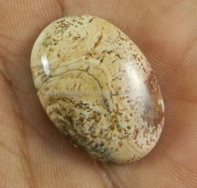 410 gms Picture Jasper 18x26mm Oval Cabochon Loose Gemstone For Jewelry IG0722