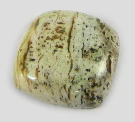 Best Quality Picture Jasper 16x16mm Cushion Cabochon 250 gms Gemstone for Jewelry