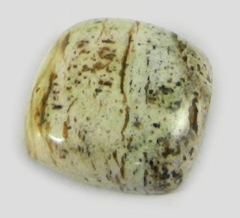 Image of Best Quality Picture Jasper 16x16mm Cushion Cabochon 2.50 gms Gemstone for Jewelry