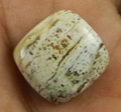 Best Quality Picture Jasper 16x16mm Cushion Cabochon 250 gms Gemstone for Jewelry