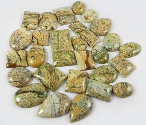 29 pcs Picture jasper 100 gms Free form cabochon Gems for Jewelry IG0728