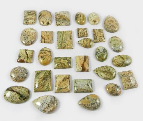29 pcs Picture jasper 100 gms Free form cabochon Gems for Jewelry IG0728