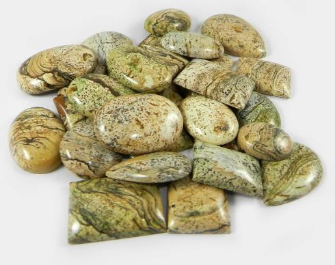 29 pcs Picture jasper 100 gms Free form cabochon Gems for Jewelry IG0728