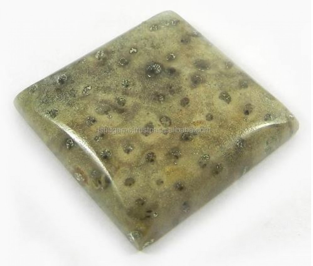 Image of 9.85 gms Natural Palm Wood Jasper 27x27mm Square Cabochon Gemstone for Jewelry IG0800