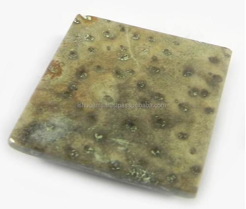 985 gms Natural Palm Wood Jasper 27x27mm Square Cabochon Gemstone for Jewelry IG0800