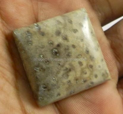 985 gms Natural Palm Wood Jasper 27x27mm Square Cabochon Gemstone for Jewelry IG0800