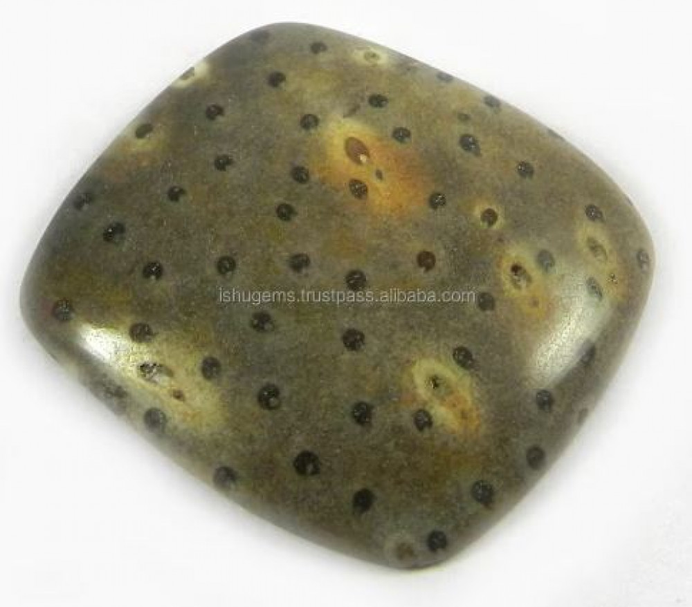 Image of Natural Palm Wood Jasper 27x29mm Cushion Square Cabochon Loose Gemstone for jewelry