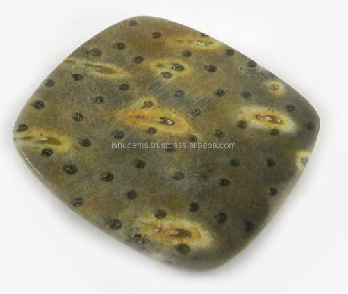 Natural Palm Wood Jasper 27x29mm Cushion Square Cabochon Loose Gemstone for jewelry