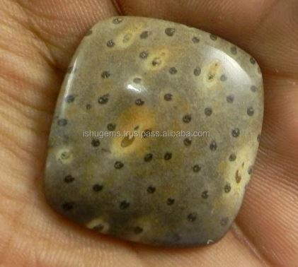 Natural Palm Wood Jasper 27x29mm Cushion Square Cabochon Loose Gemstone for jewelry