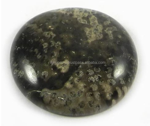 Natural Palm Wood Jasper 23mm Round Cabochon Loose  Gemstone for jewelry