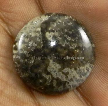 Natural Palm Wood Jasper 23mm Round Cabochon Loose  Gemstone for jewelry