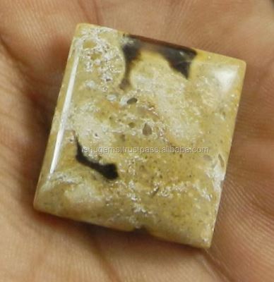 Best Stone Natural Peanut Wood Jasper 25x23mm Rectangle Cabochon 710 gms Gemstone for Jewelry IG0811