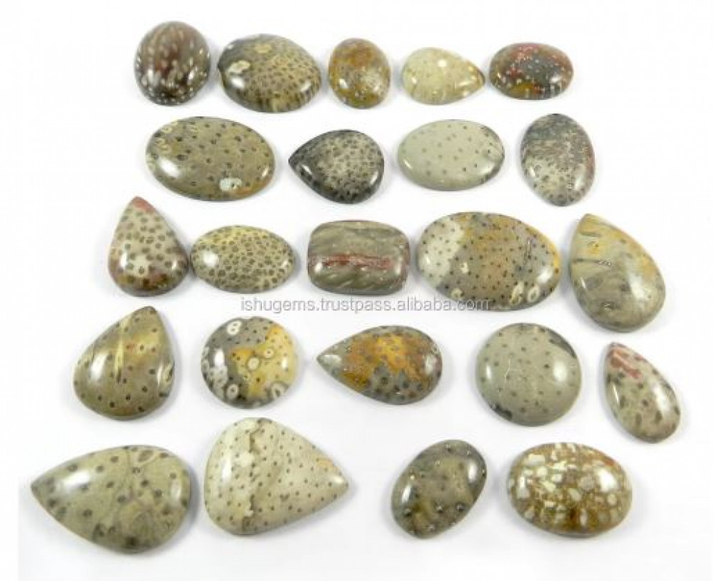 Image of Best Quality Natural Palm Wood Jasper 23 Pcs Mix Cabochon 100 gms gemstone for jewelry