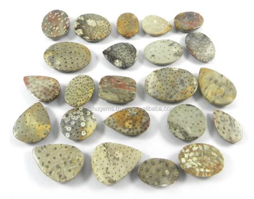 Best Quality Natural Palm Wood Jasper 23 Pcs Mix Cabochon 100 gms gemstone for jewelry