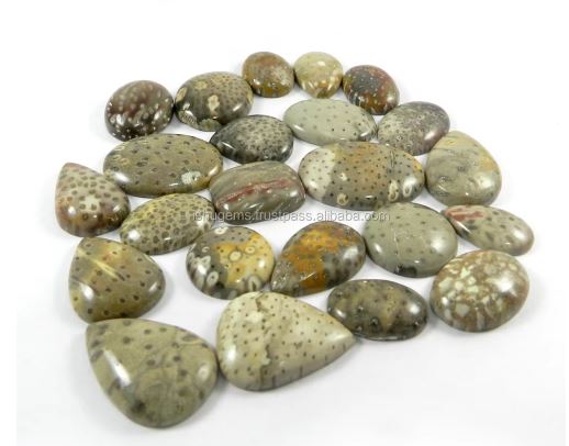 Best Quality Natural Palm Wood Jasper 23 Pcs Mix Cabochon 100 gms gemstone for jewelry
