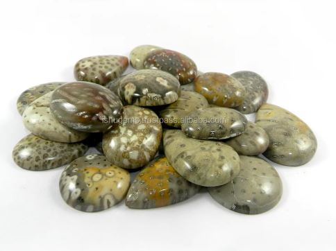 Best Quality Natural Palm Wood Jasper 23 Pcs Mix Cabochon 100 gms gemstone for jewelry