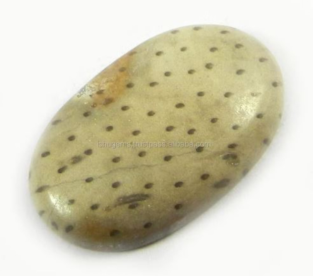 Image of High Quality 3.35 gms Natural Palm Wood Jasper 26x16mm Oval Cabochon Gemstone for Jewelry IG0832