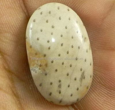 High Quality 335 gms Natural Palm Wood Jasper 26x16mm Oval Cabochon Gemstone for Jewelry IG0832