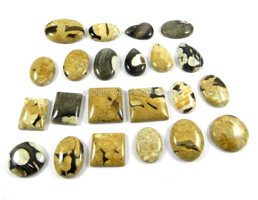 22 Pcs Natural Peanut Wood Jasper 100 gms Mix Cabochon Gemstone For Jewelry Making