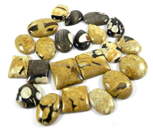 22 Pcs Natural Peanut Wood Jasper 100 gms Mix Cabochon Gemstone For Jewelry Making