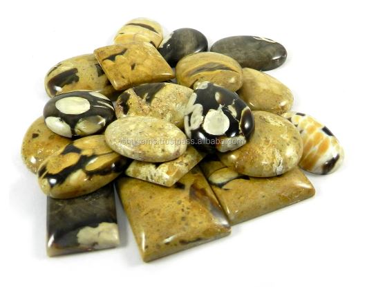 22 Pcs Natural Peanut Wood Jasper 100 gms Mix Cabochon Gemstone For Jewelry Making