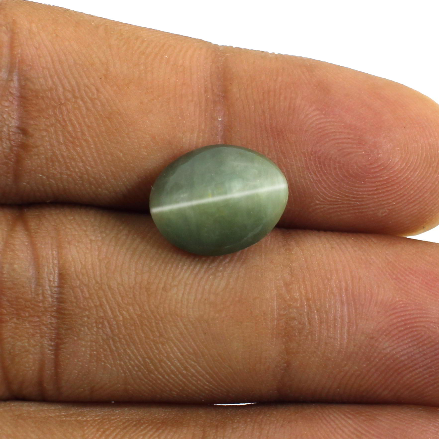 Natural Cats Eye 12x10mm Oval Cabochon 565 Cts