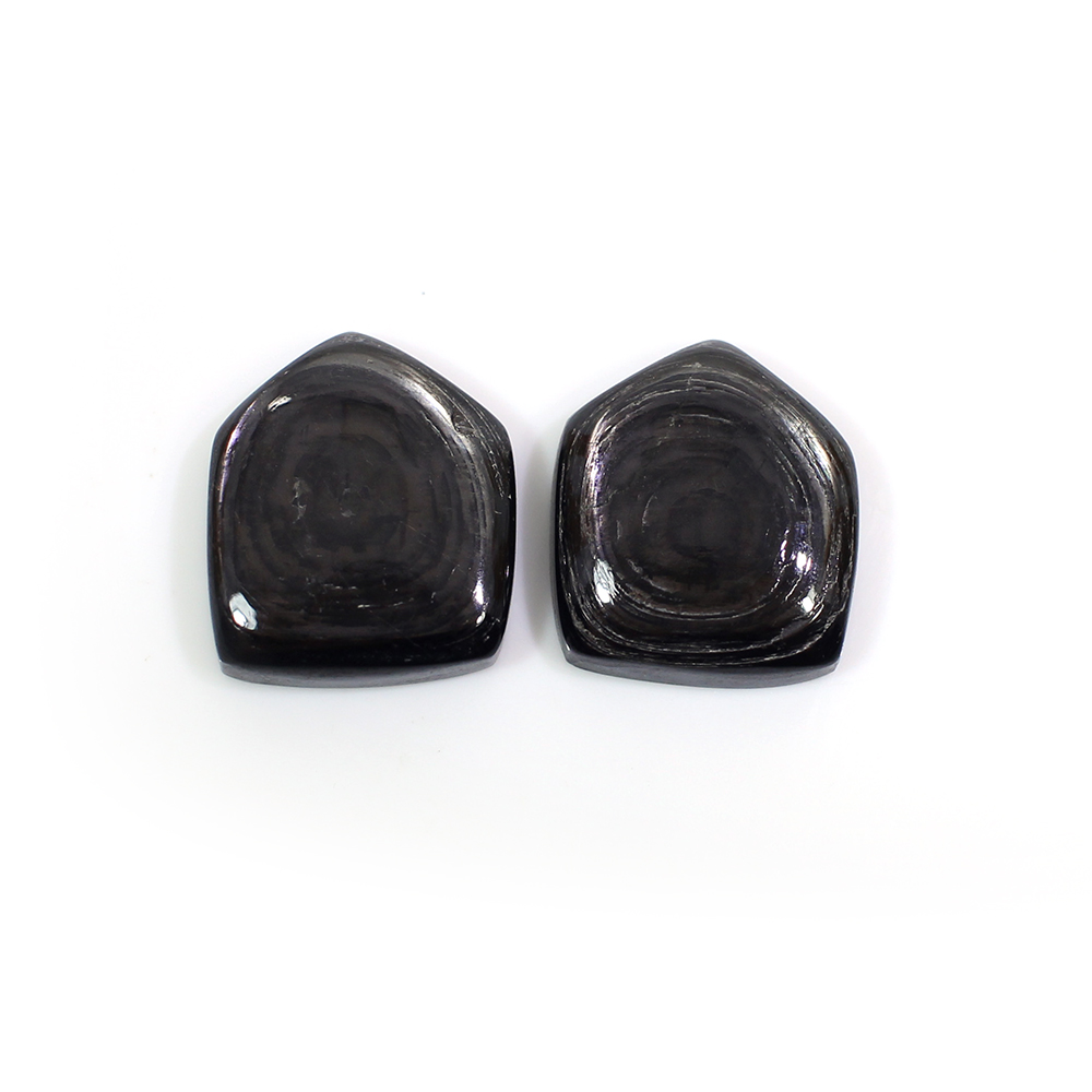 1 Pairs Natural Hypersthene Spectrolite 14x12mm Pentagon Cabochon 1445 Cts