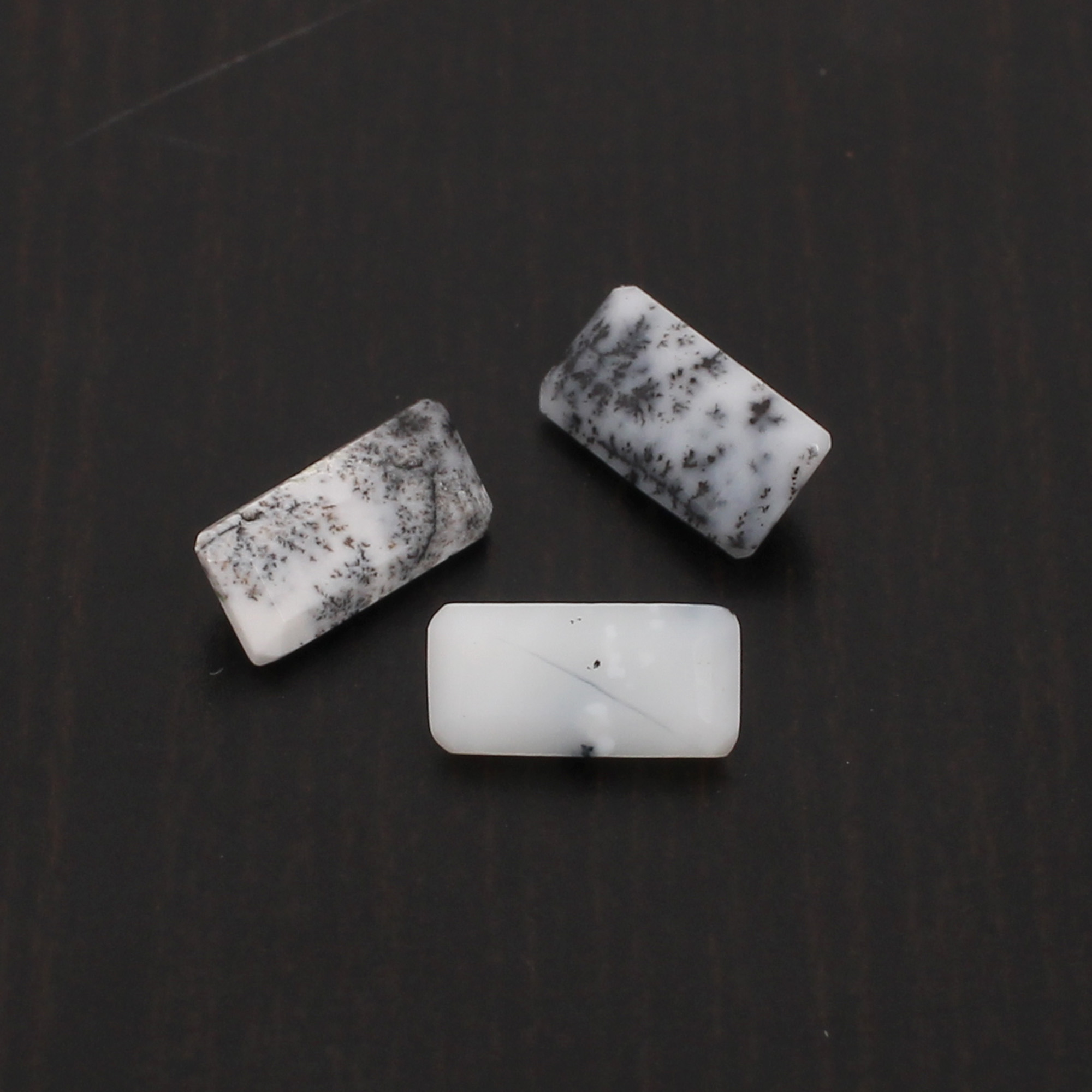 2Pcs Natural Dendritic Opal 8x4mm Rectangle Cabochon 145Cts