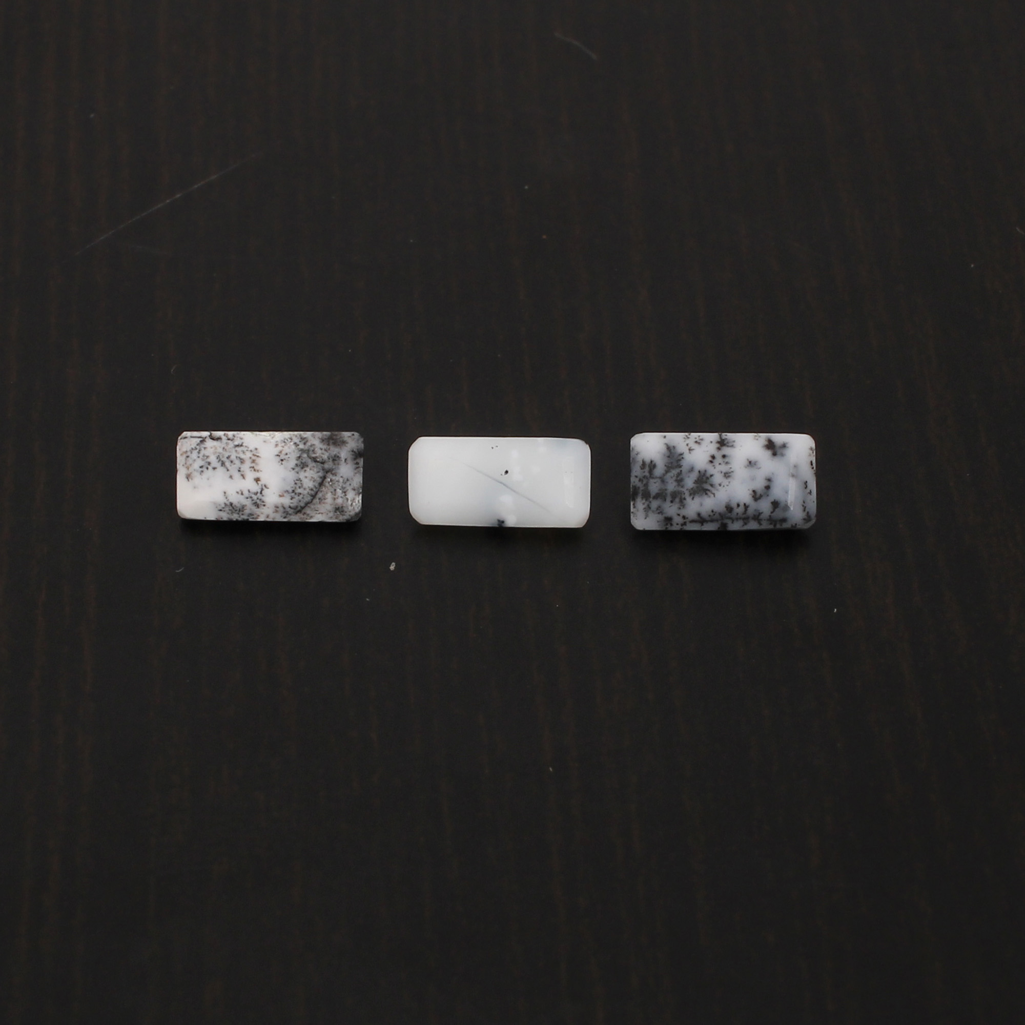2Pcs Natural Dendritic Opal 8x4mm Rectangle Cabochon 145Cts