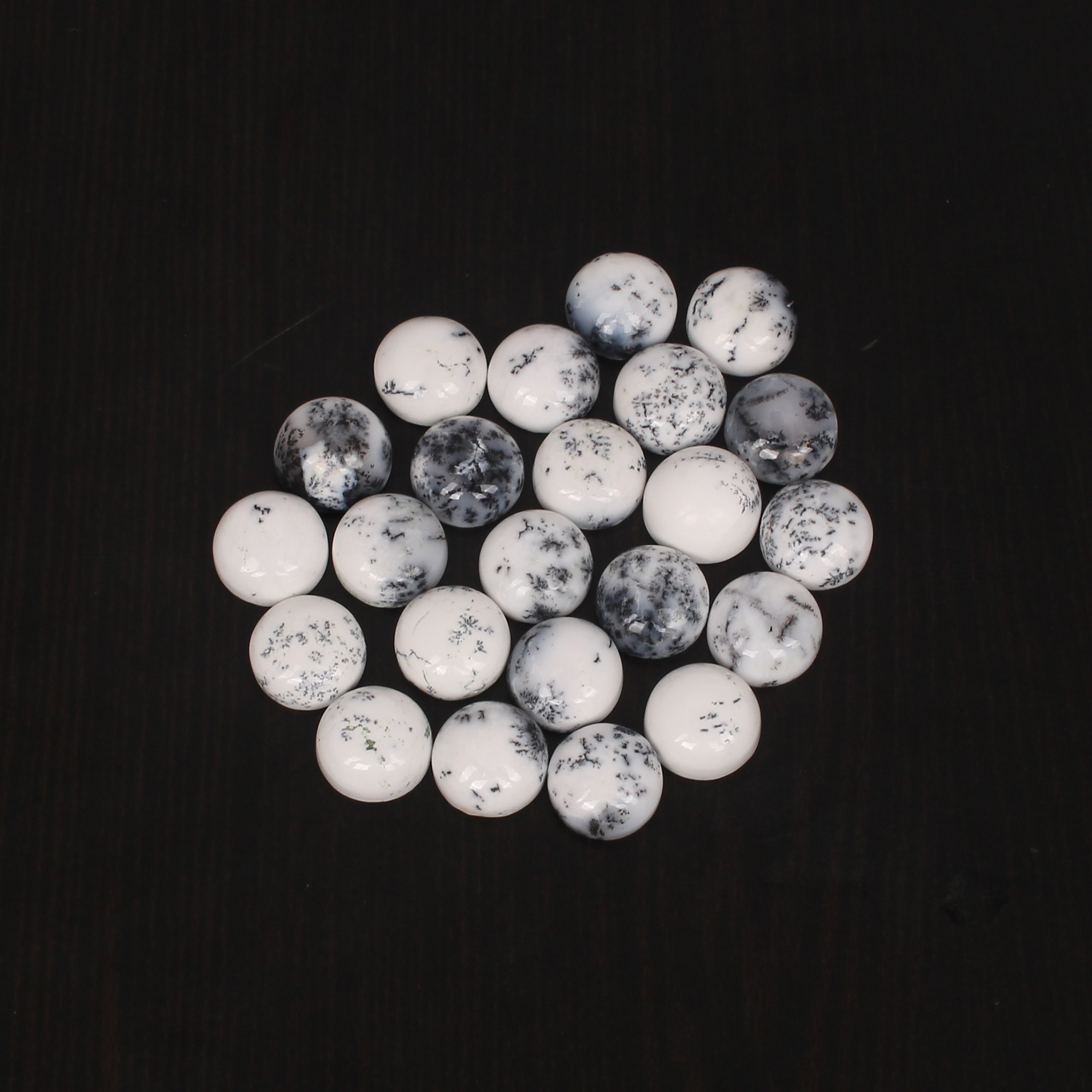 5Pcs Natural Dendritic Opal 10x10mm Round Cabochon 1730Cts